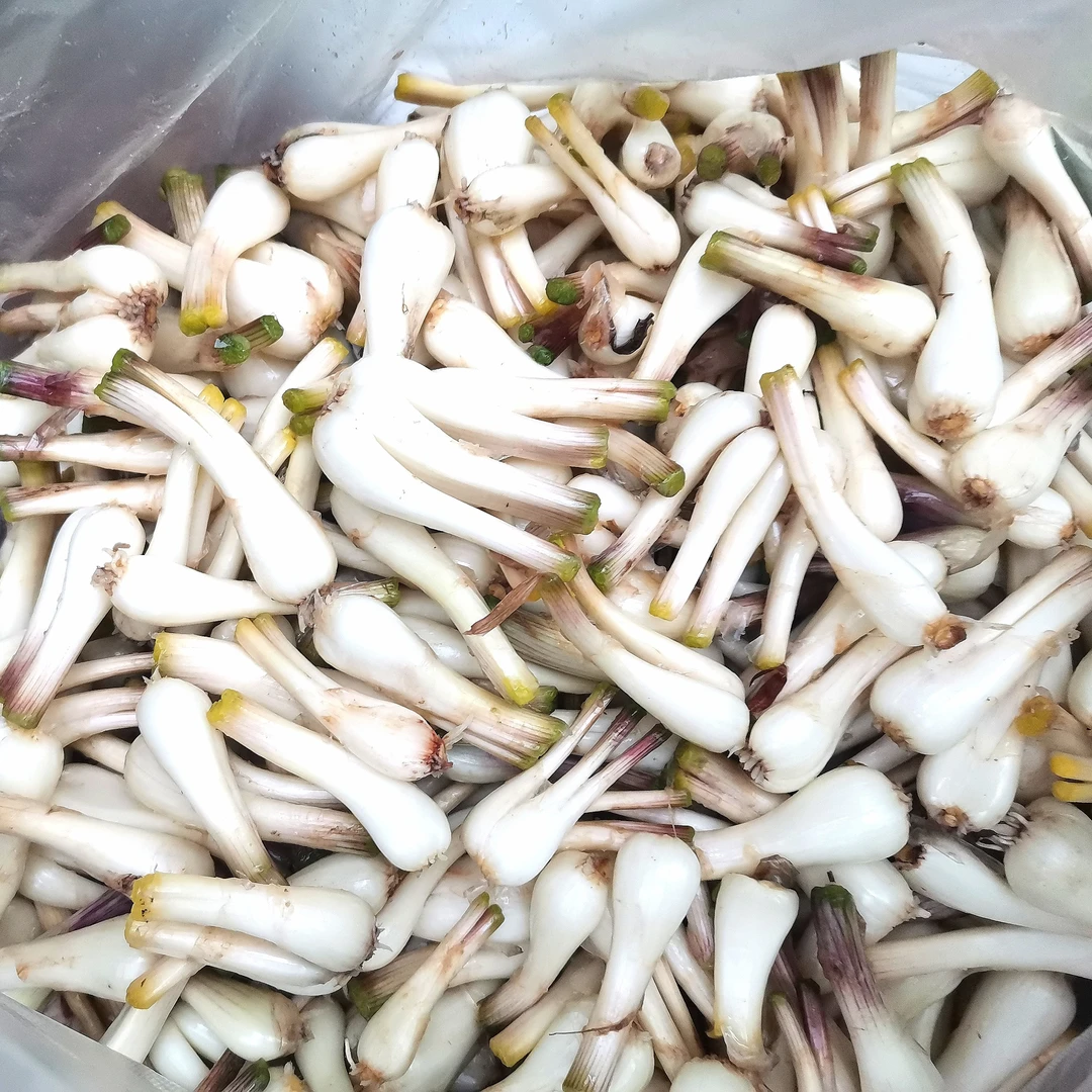 农村叫头 农民自己种的