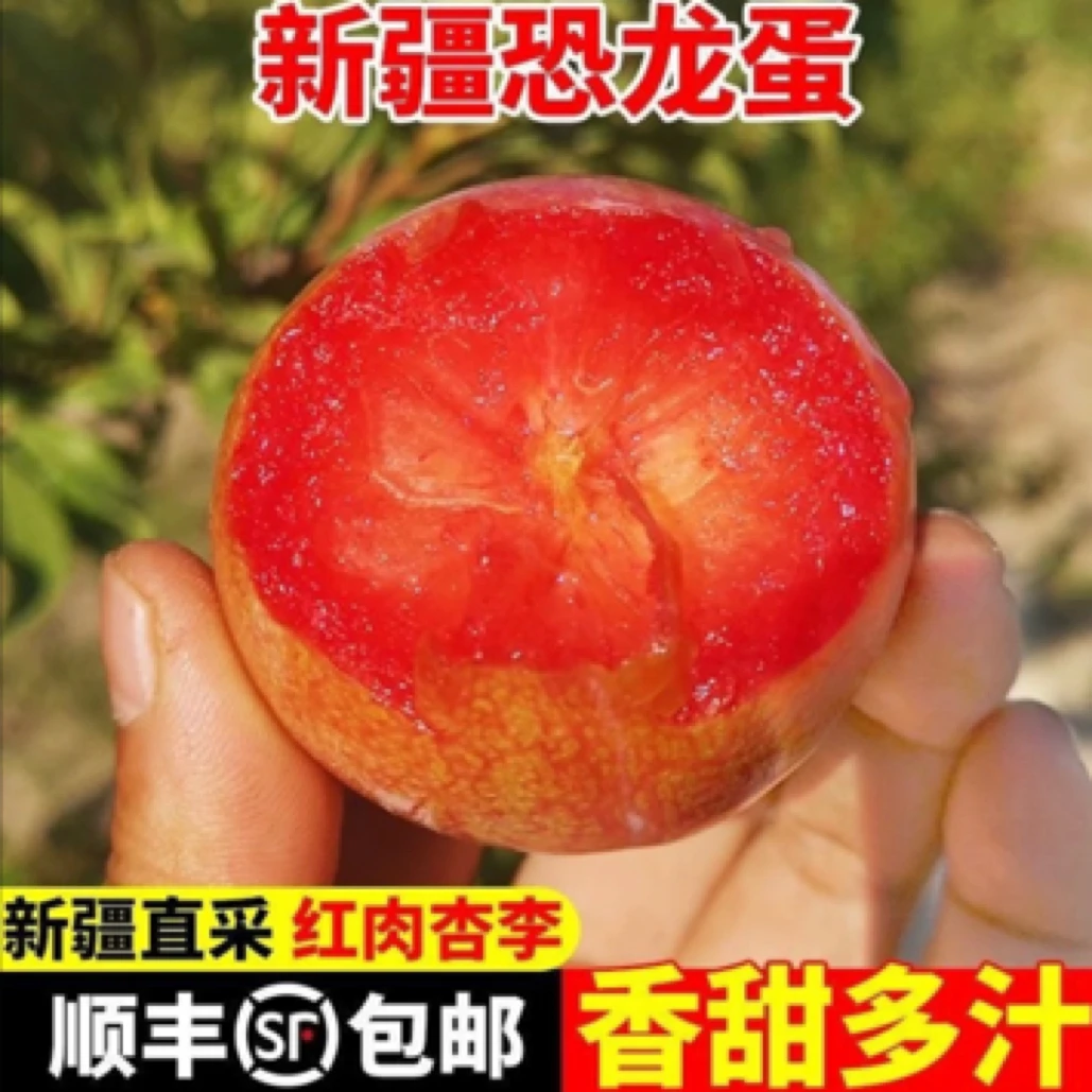 【平台推荐】新疆味帝恐龙蛋李子 酸甜（大小混发）新疆维吾尔自治区