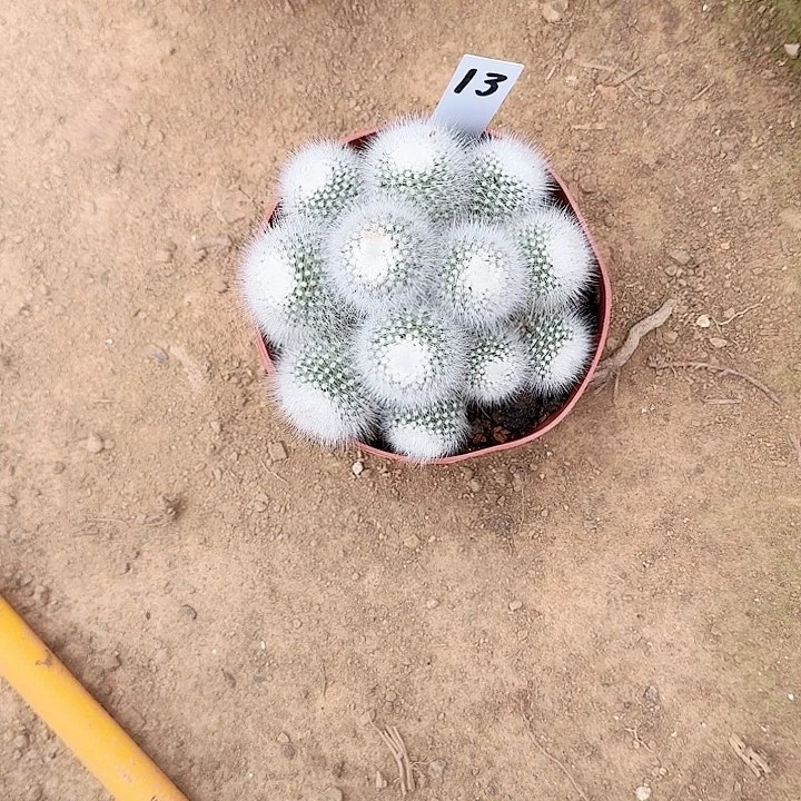 哈哈哈哈哈哈哈哈哈