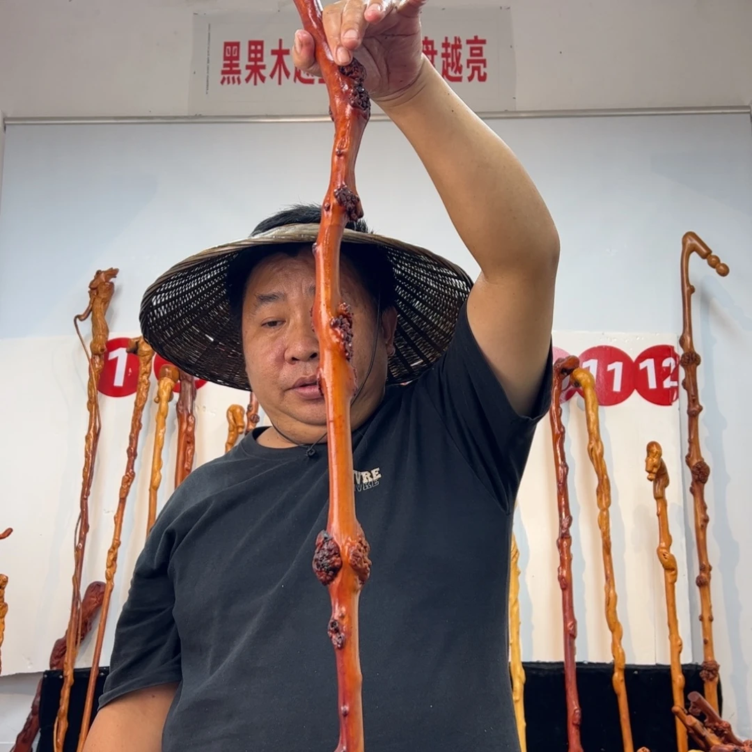 平***定其他黑果木黑果木905