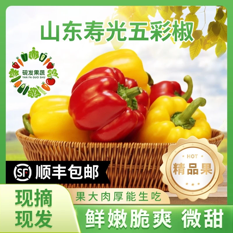 【红黄双拼五彩椒】顺丰包邮精品果五彩椒1-5斤现摘现发