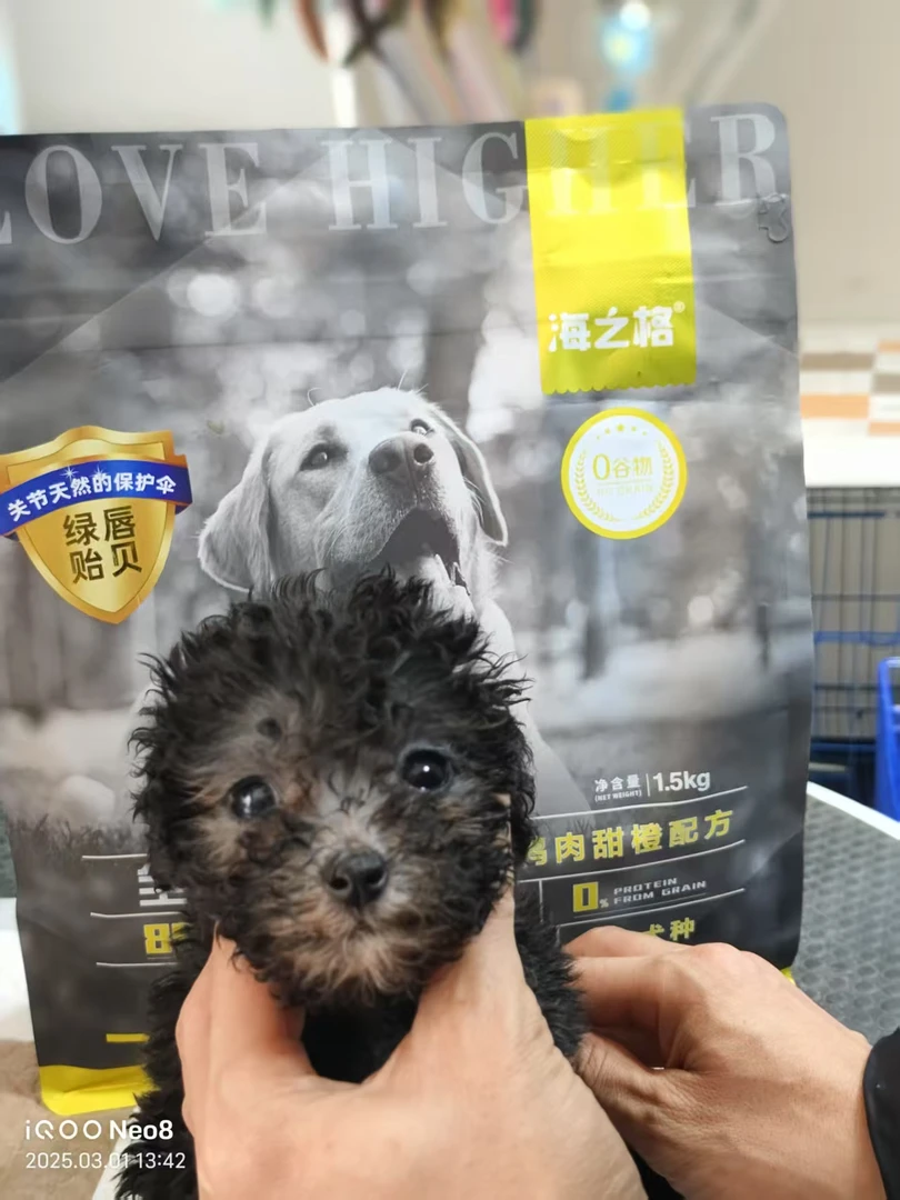 Higher/海之格海之格泰迪比熊吉娃娃柯基博美全价全犬粮