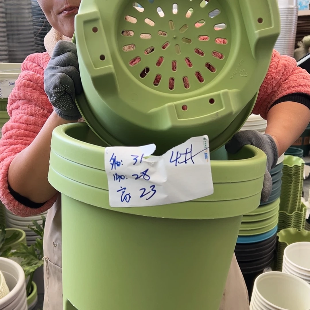 球根盆4#果绿色5个无托