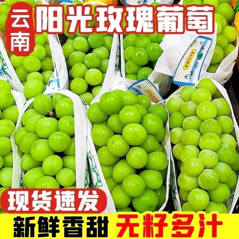 【顺丰速运】晴王小串大凉山葡萄阳光玫瑰青提无籽提子香印新鲜水