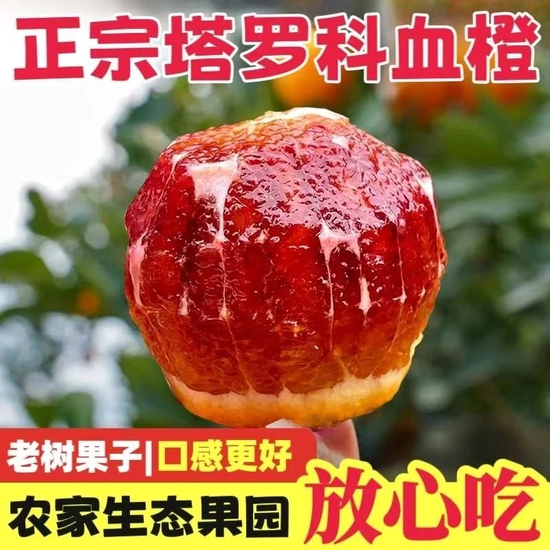 【小徐同学专属精品果】四川塔罗科血橙现摘新鲜水果肉嫩多汁10斤