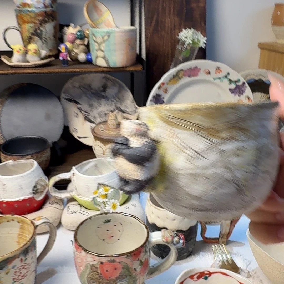 陶533啦啦啦啦啦啦啦啦啦啦啦啦啦