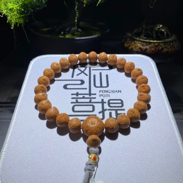 379号尼泊尔凤眼菩提，12毫米左右，25颗同树籽，一图一物已打底点封