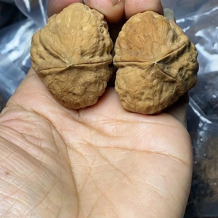 文玩核桃把件云南铁核桃93