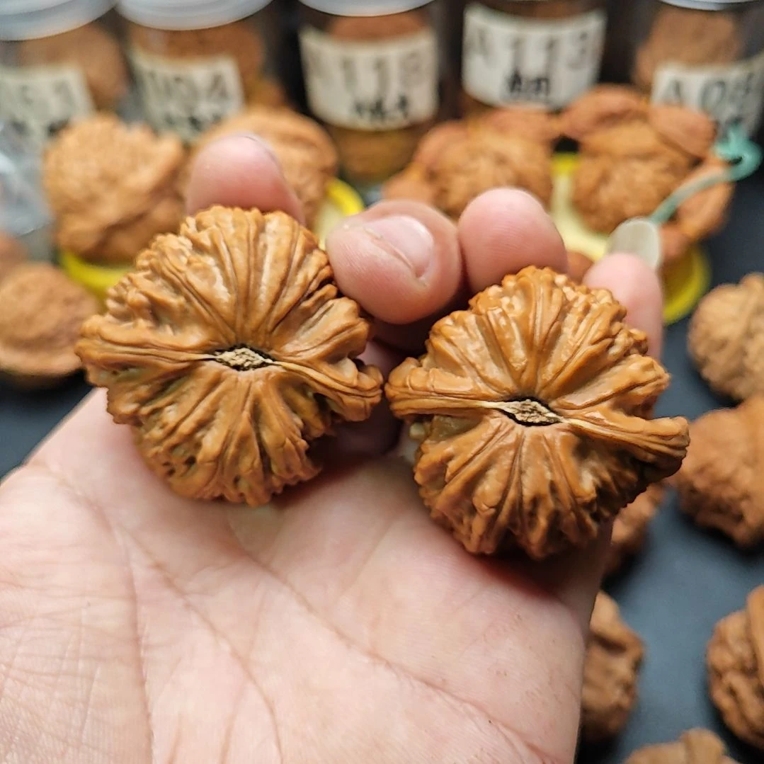 小***度文玩核桃把件白狮子