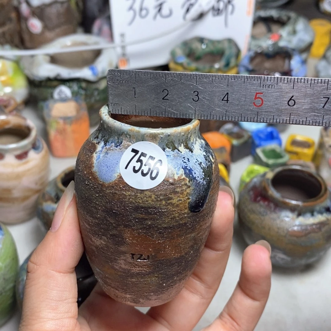 拍5送一个小礼物
