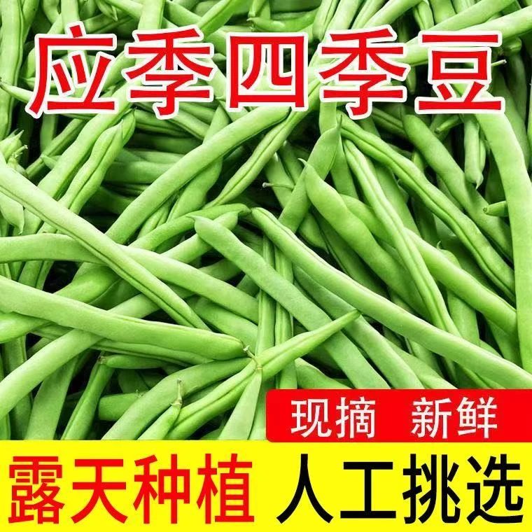 【农家精选】四季豆湖北优质露天四季豆农家蔬菜嫩豆角新鲜现摘现发