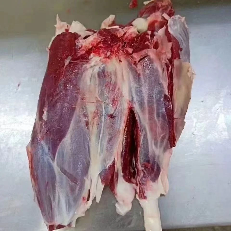 【前腿腱】5斤新鲜原切腱子肉 龟腱肉纯干不加水 顺丰速冻发货