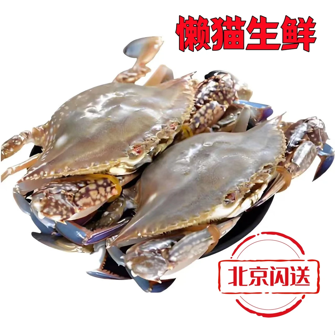 【鲜活梭子蟹】梭子蟹（ 单只1-2两 ） 2-5斤可选 海鲜 梭子蟹  充氧发货 规格可选 北京同城