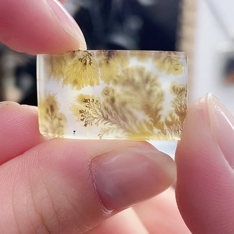 玛瑙/玉髓珠宝奇石未镶嵌