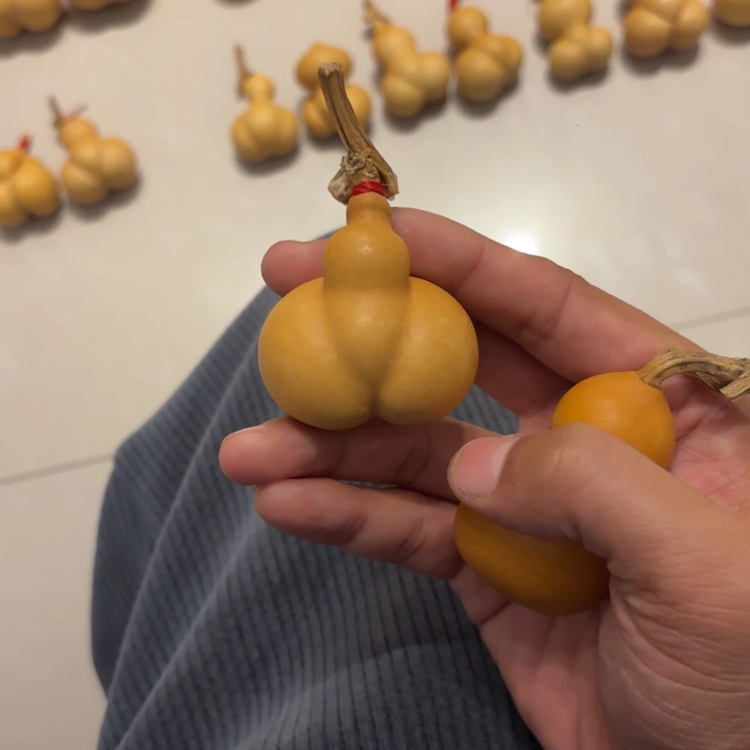 木*葫芦111111111111