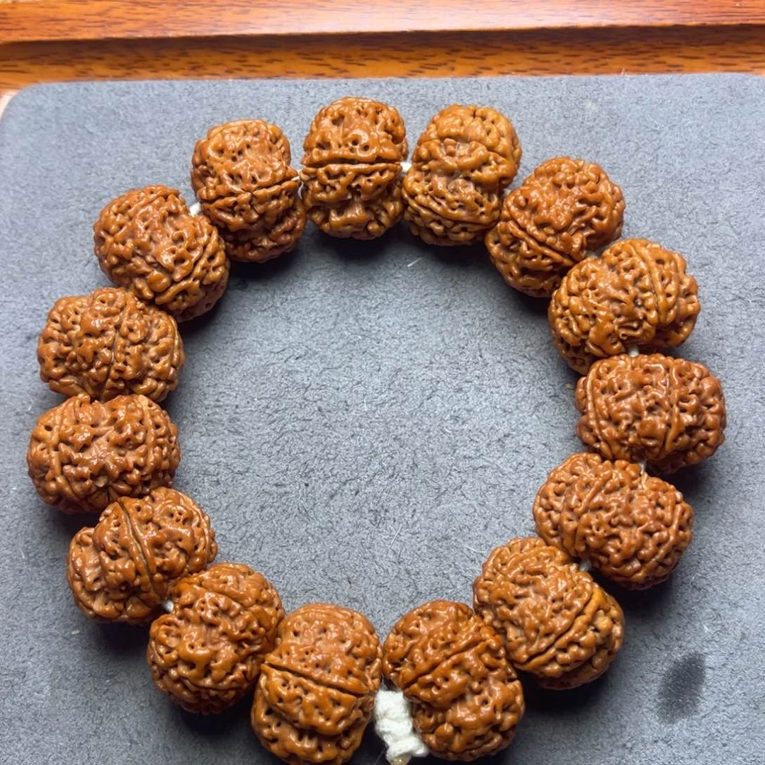 菩提5号金刚菩提矮壮原生态梅花25