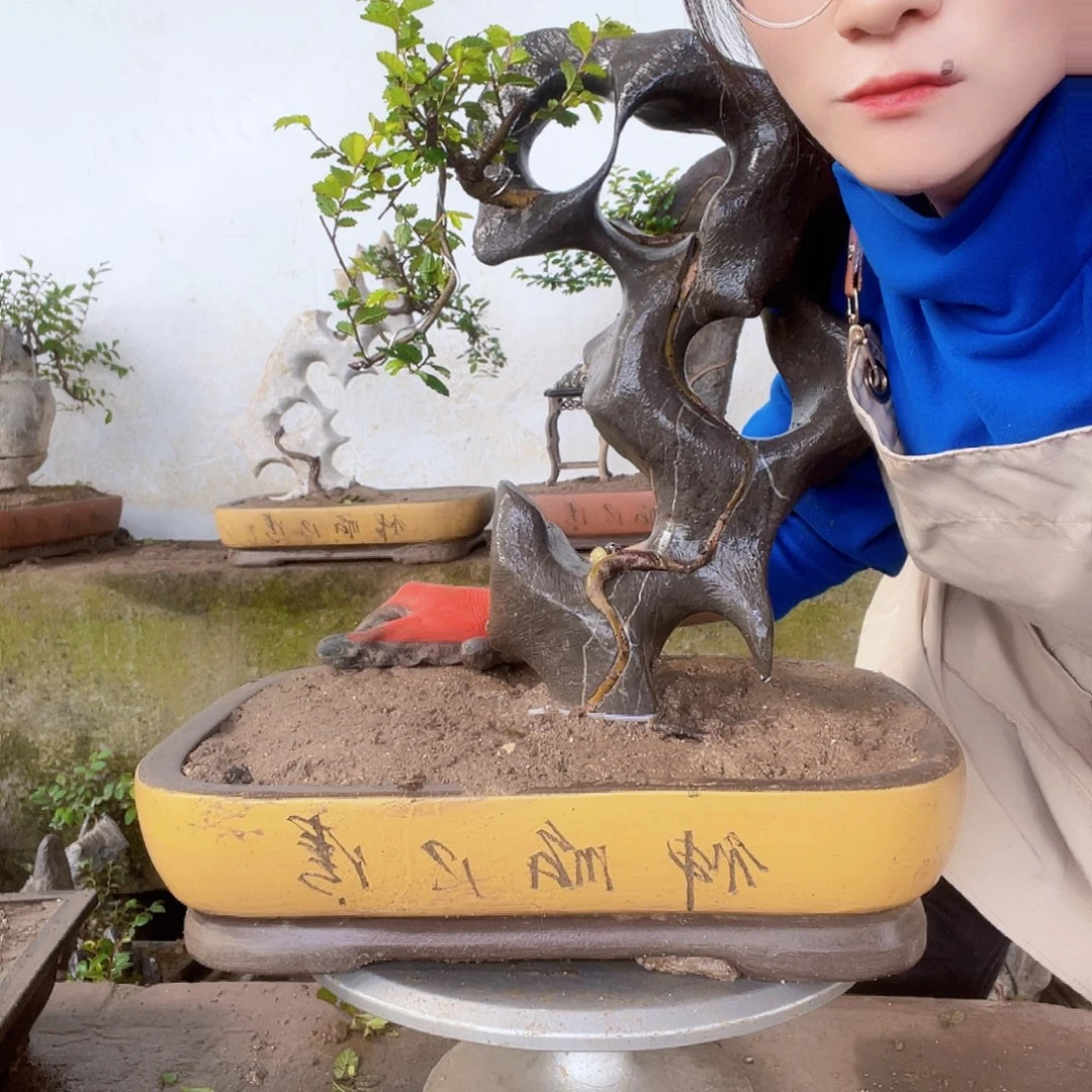 地***土直播间不见不散年