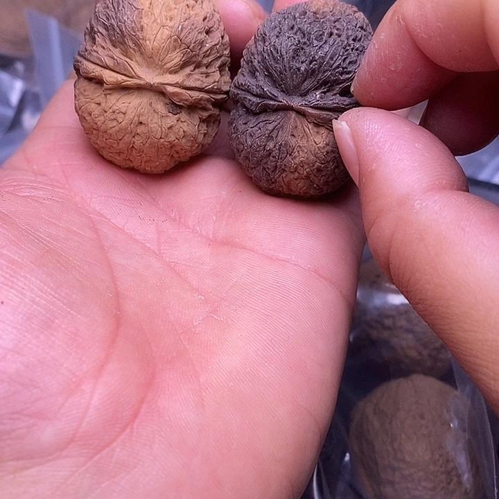 文玩核桃把件   89