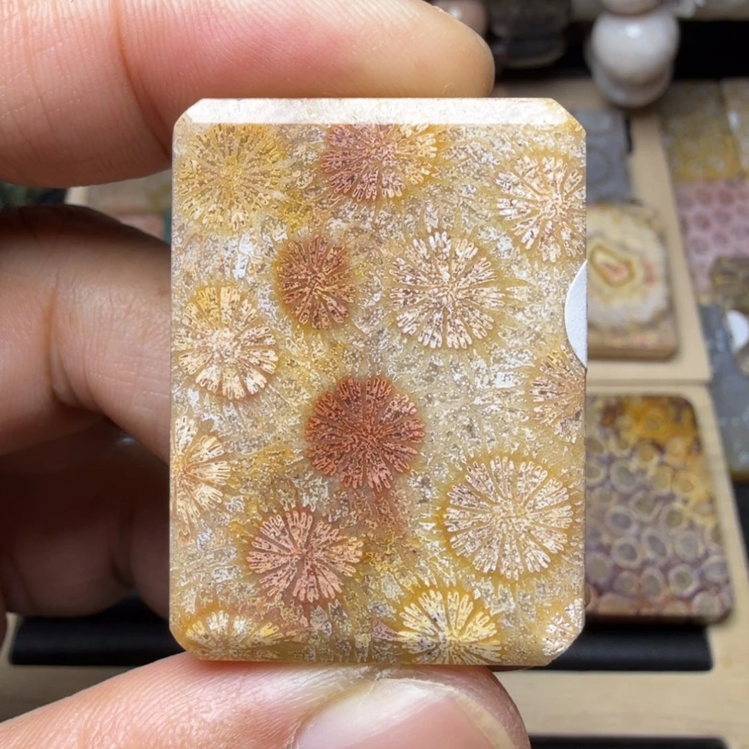 硅化玉未镶嵌纯天然色有机玉石保真色