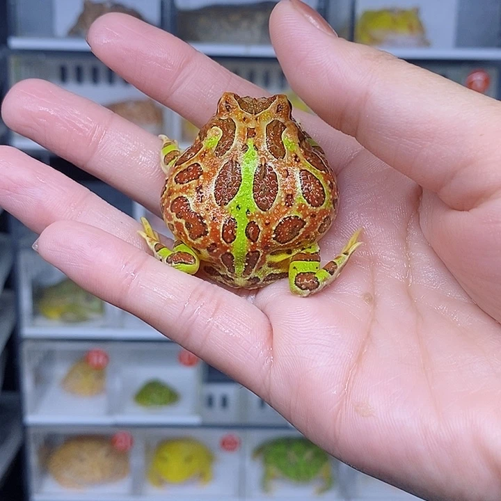 特价秒杀现货特价