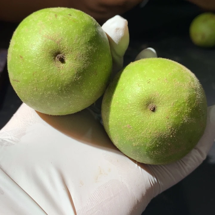 文玩核桃吊坠青皮特殊定制商品不退不换