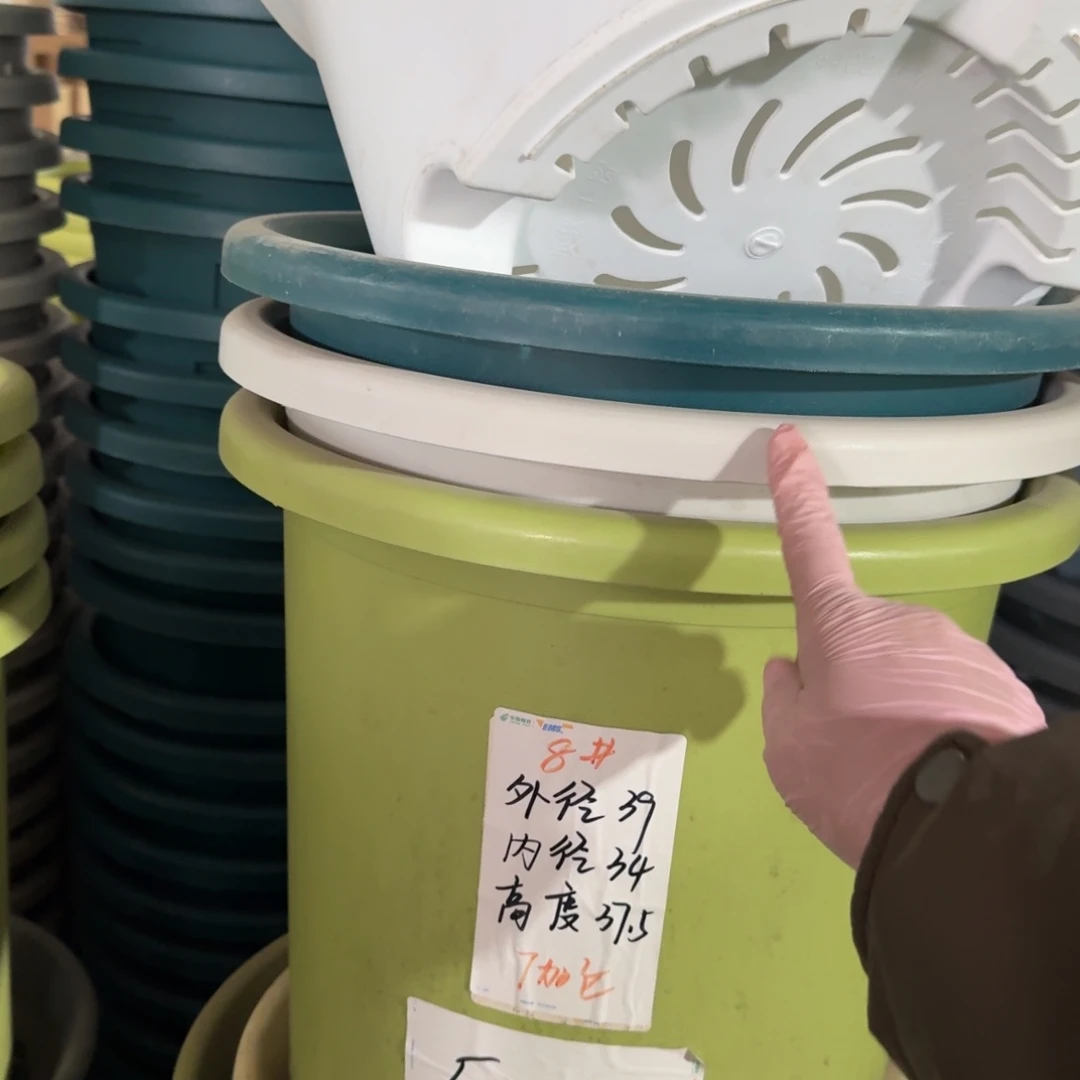 四季8#口径39无拖灰白3个