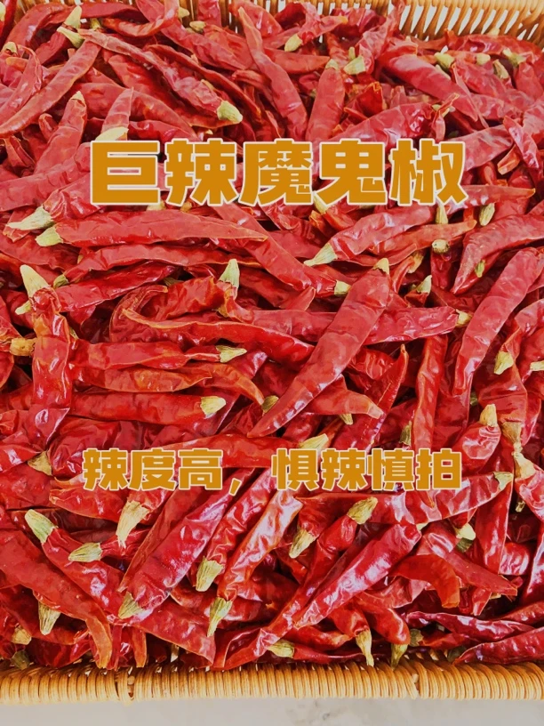 【新货】特辣魔鬼椒红辣椒干货农家满天星魔鬼椒超辣干辣子250g