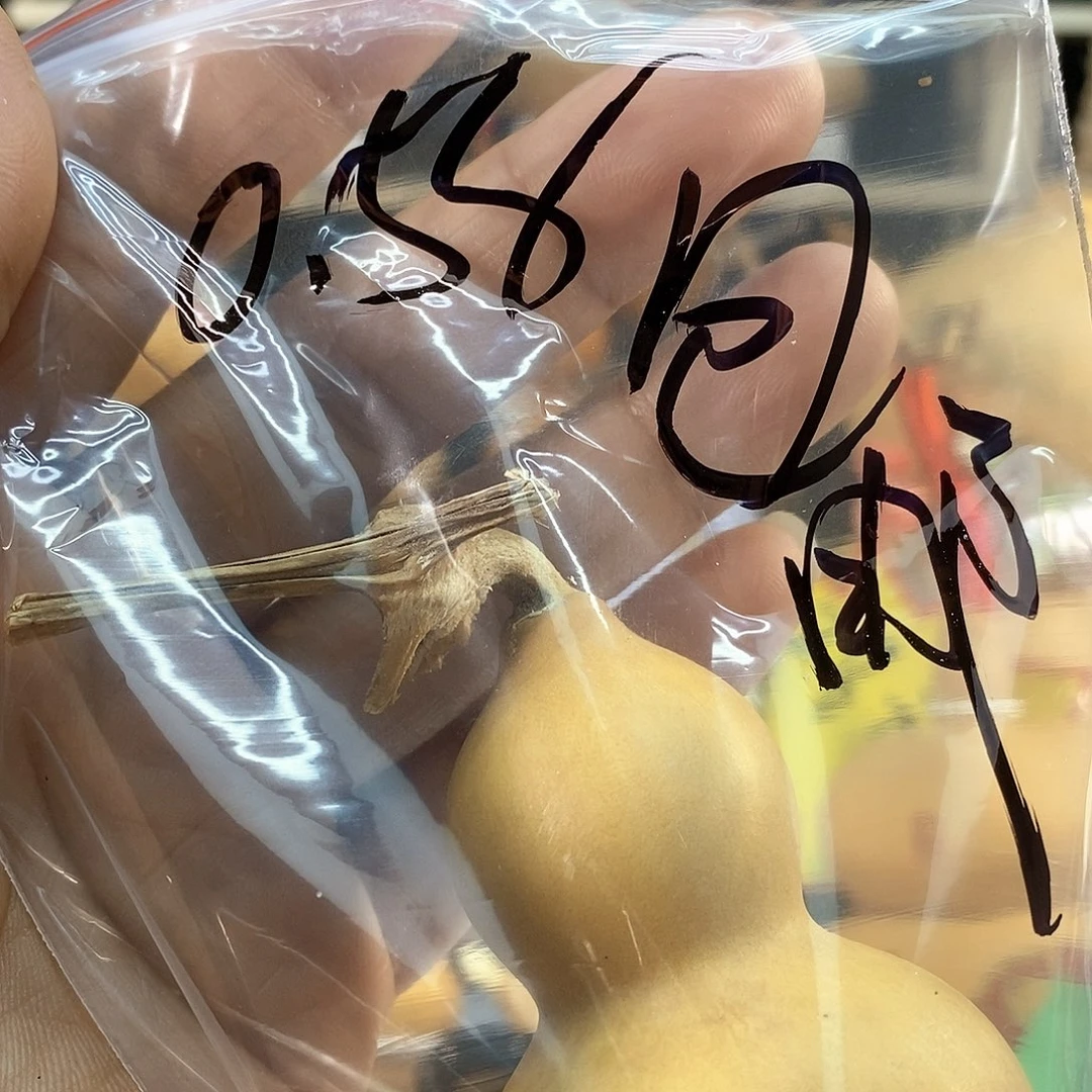 橄榄核手串/手链大*精品文玩葫芦随便挑