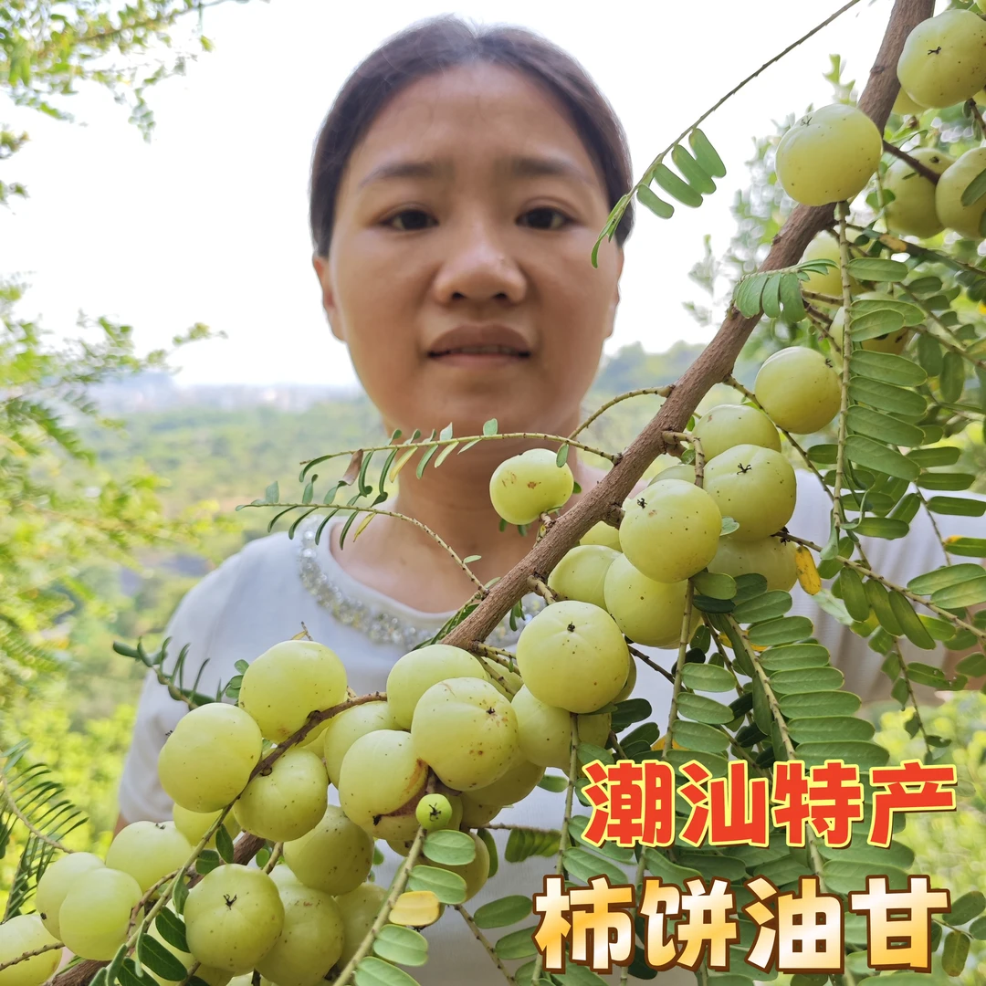 潮汕金灶 柿饼油甘 崩坎种 酥脆回甘 生吃榨汁煲汤腌制泡酒