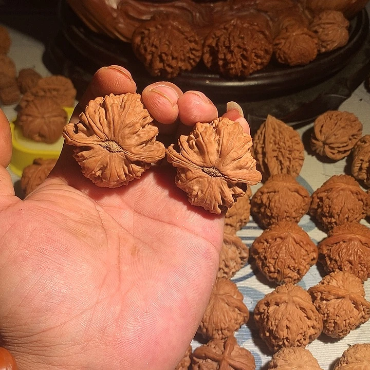 老***底把件文玩核桃白狮子