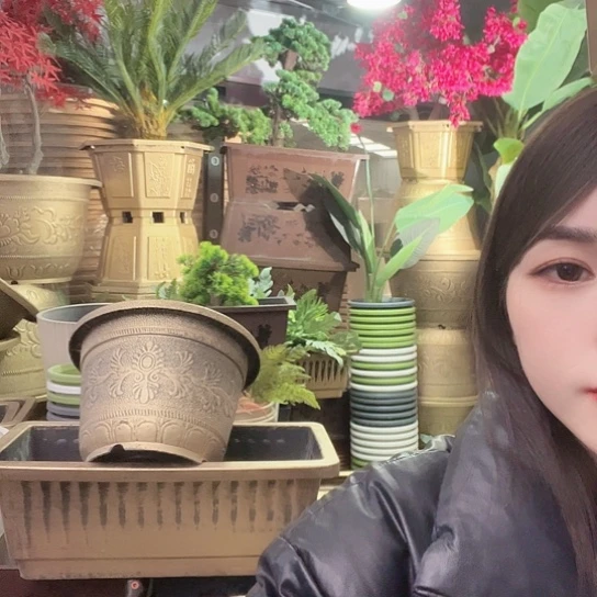 复合彭*盆景886689555