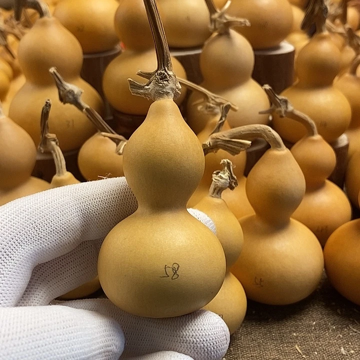 文玩葫芦 完美主义者 慎拍58