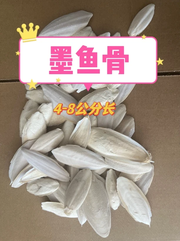 海螵蛸墨鱼骨中药材小号4-8公分长 乌贼骨块乌龟磨牙鹦鹉鸟粮鸟食