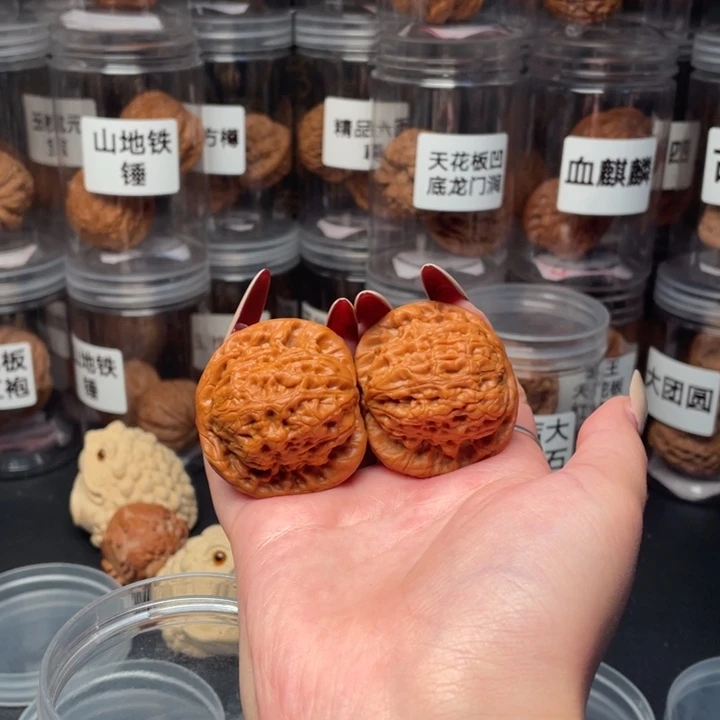 焦***手串/手链核桃金公子
