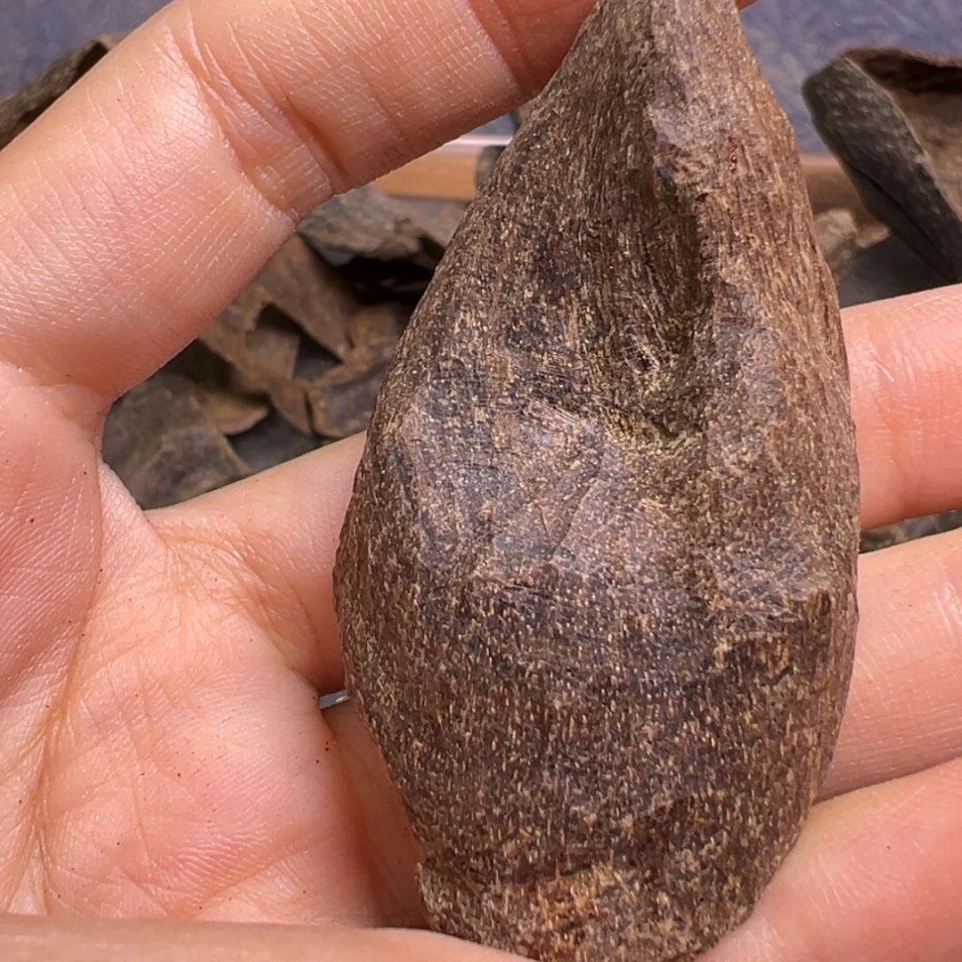 沉香沉香碎屑海南尖峰岭沉水老包头3.1克
