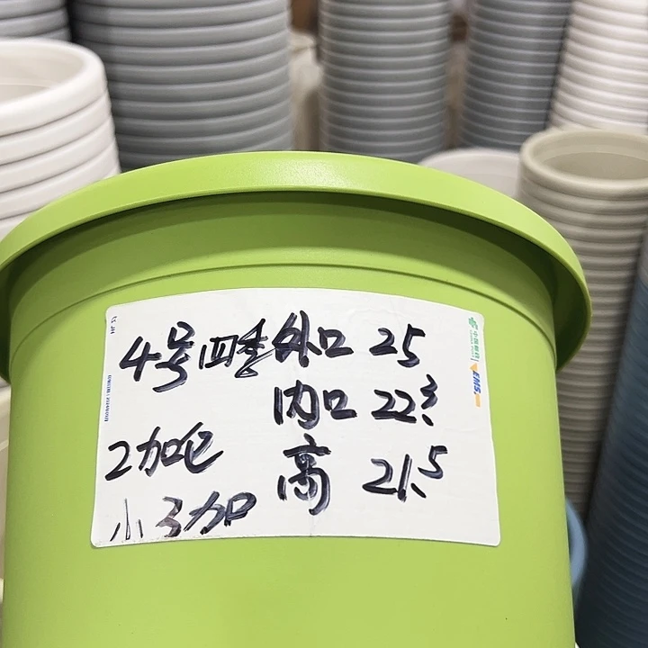 特价4号四季口25高21.5果绿6只带托