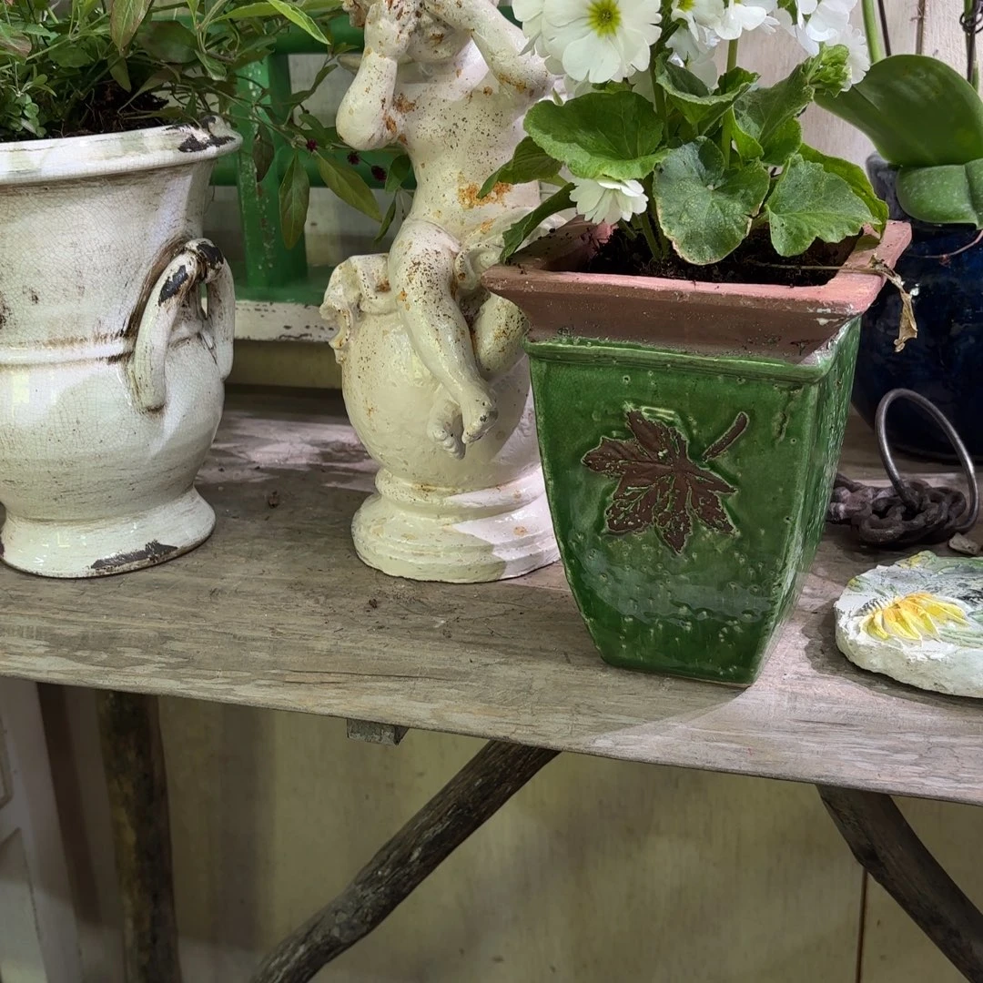 许纯的花个 枫叶 绿色