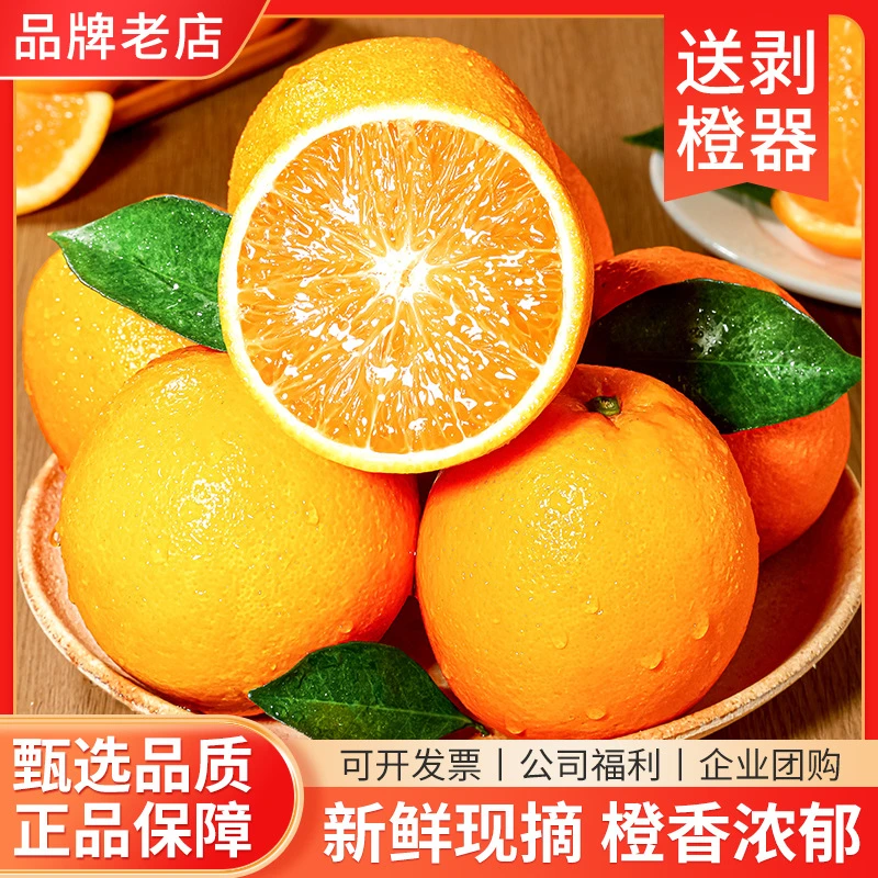正宗江西赣南脐橙新鲜采摘当季水果皮薄味美包邮5斤/10斤精品大