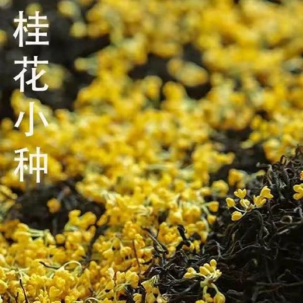 996号【桂花红茶250g】桂花香浓郁可口