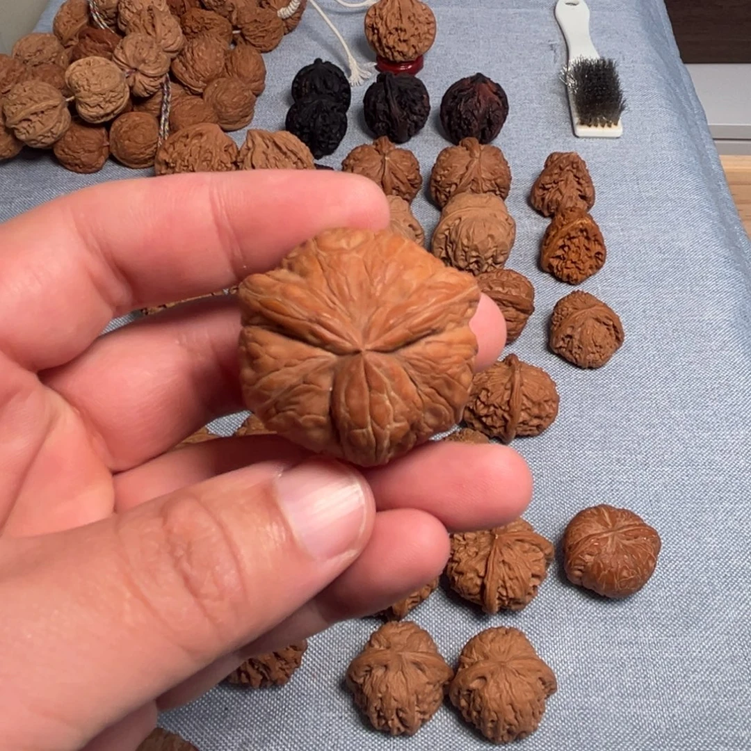 可***口核桃核桃核桃核桃