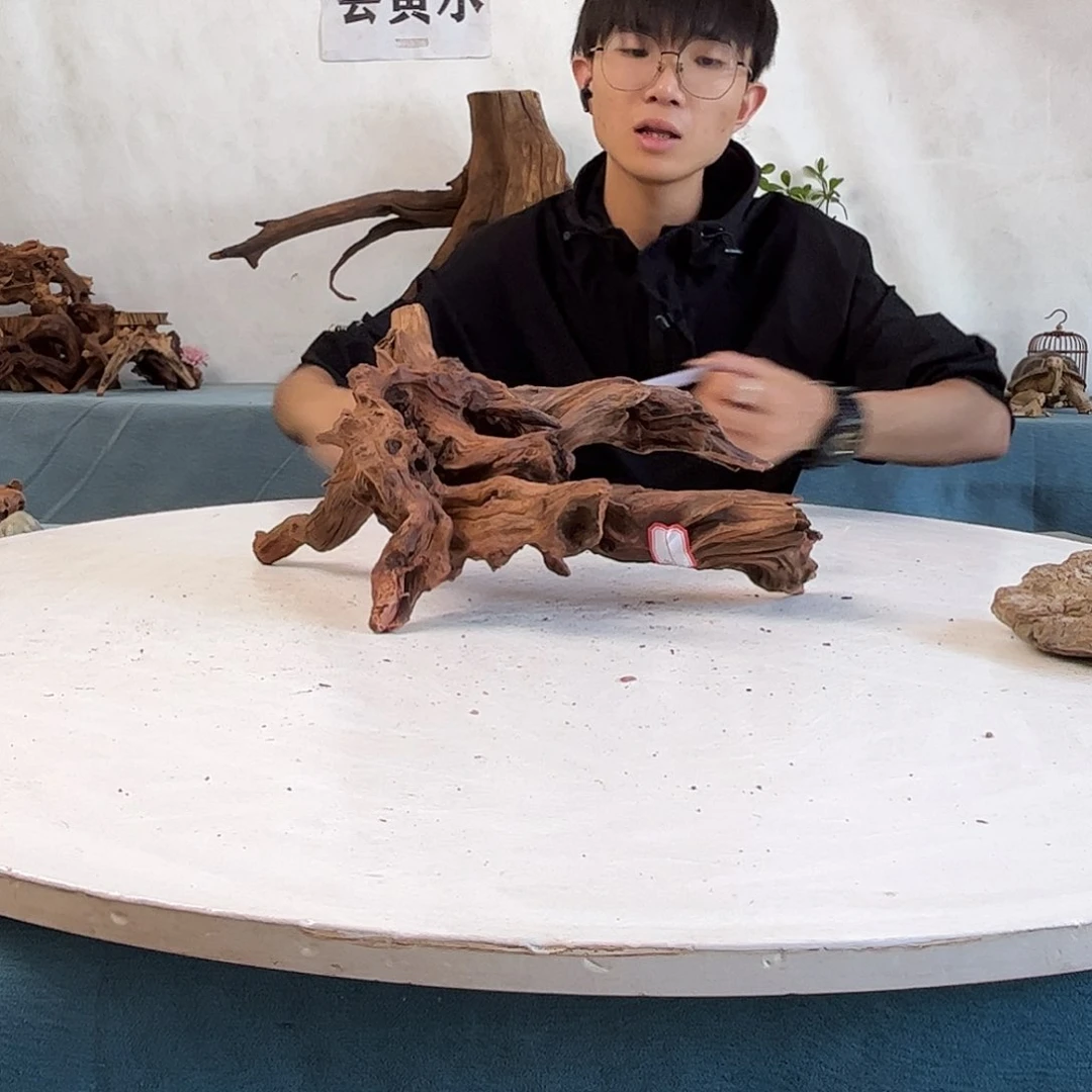 38.24.18 沉木造景寄居蟹景