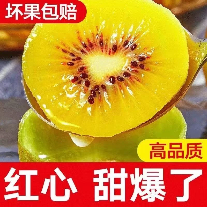 四川蒲江红心猕猴桃当季新鲜水果奇异果大果正宗