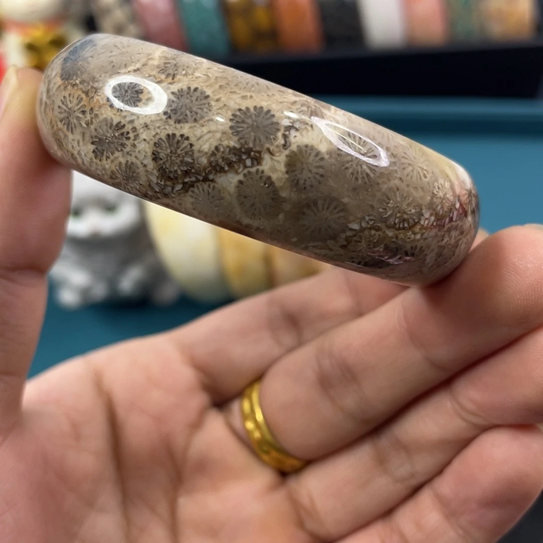 未镶嵌手镯硅化玉