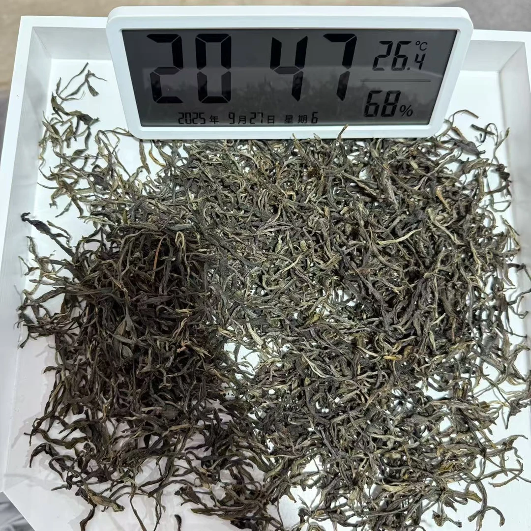 D07-汤道明-2023年大漆树正春古树普洱生茶