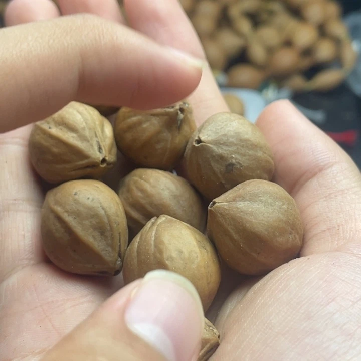 手串/手链橄榄核1.9