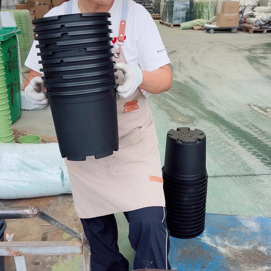 瑕疵3加仑黑色10个无托