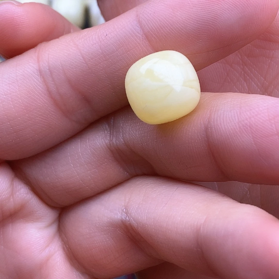 琥珀裸石未镶嵌根**鹿13mm 蜜蜡珠子