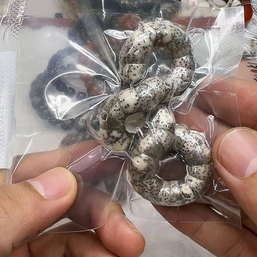 星月菩提手串62卓越糯冰石玉星月菩提单圈猪大肠10