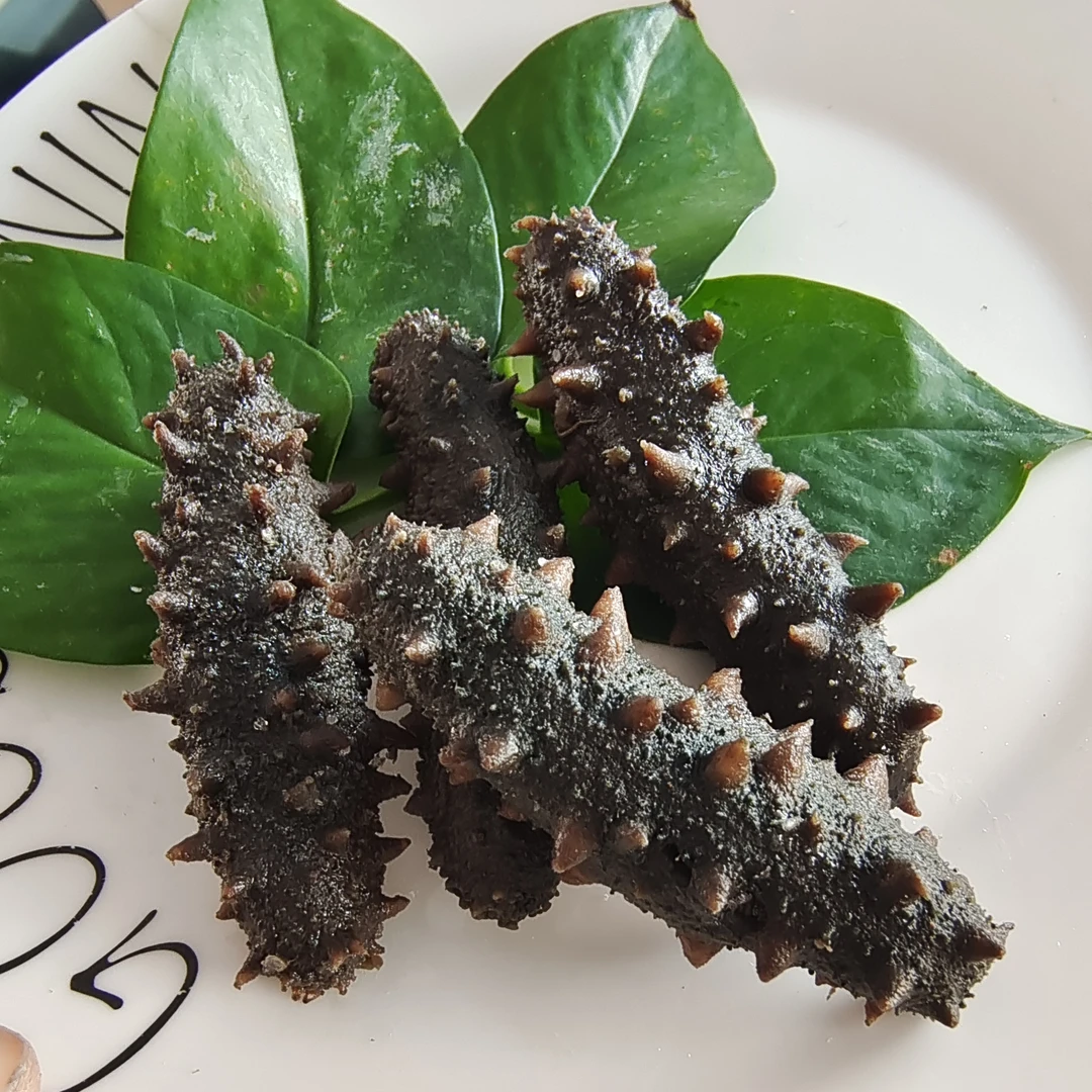 拉缸盐海参半干海参顶火海参(1斤15-25-38头）非干品非即食海参