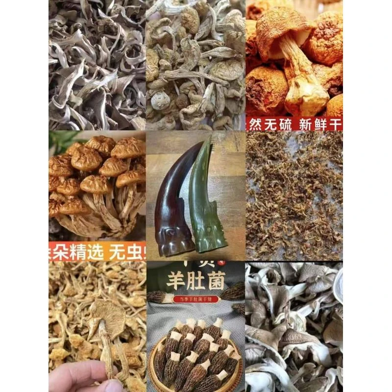 FD85 【钓课大交】高端品质   香菇菌子   现收山货